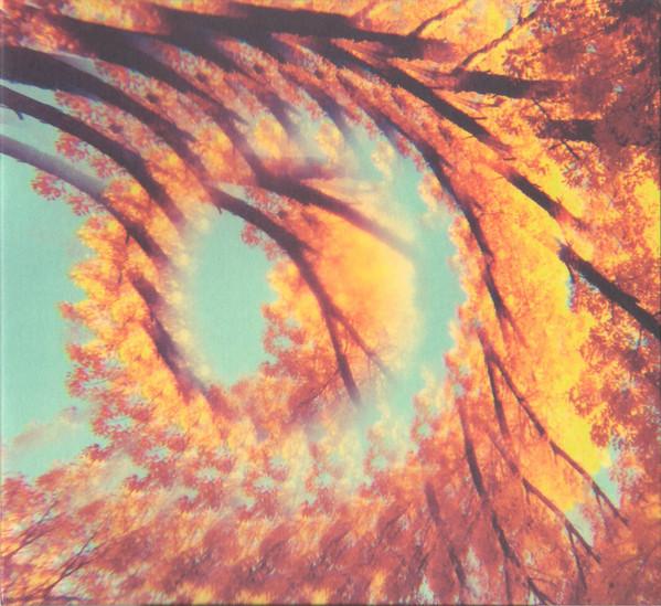 A Hawk And A Hacksaw - Forest Bathing