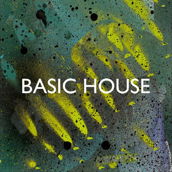 Basic House - Cryptid Binaries