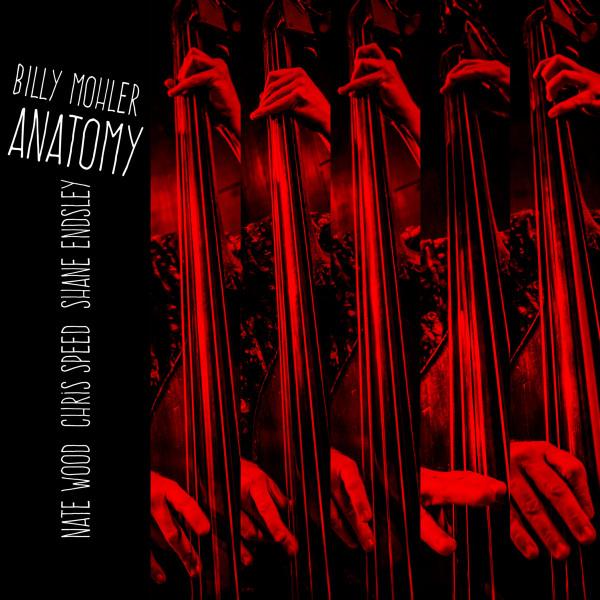 Billy Mohler - Anatomy