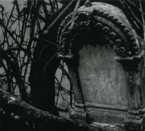 Blodulv - II