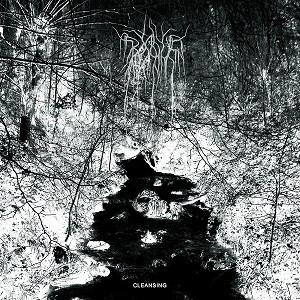 Bosque - Cleansing