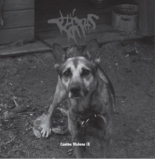 Budrūs - Canine Visions IX