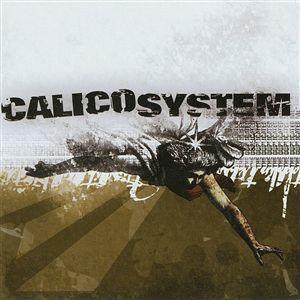 Calico System - The Duplicated Memory