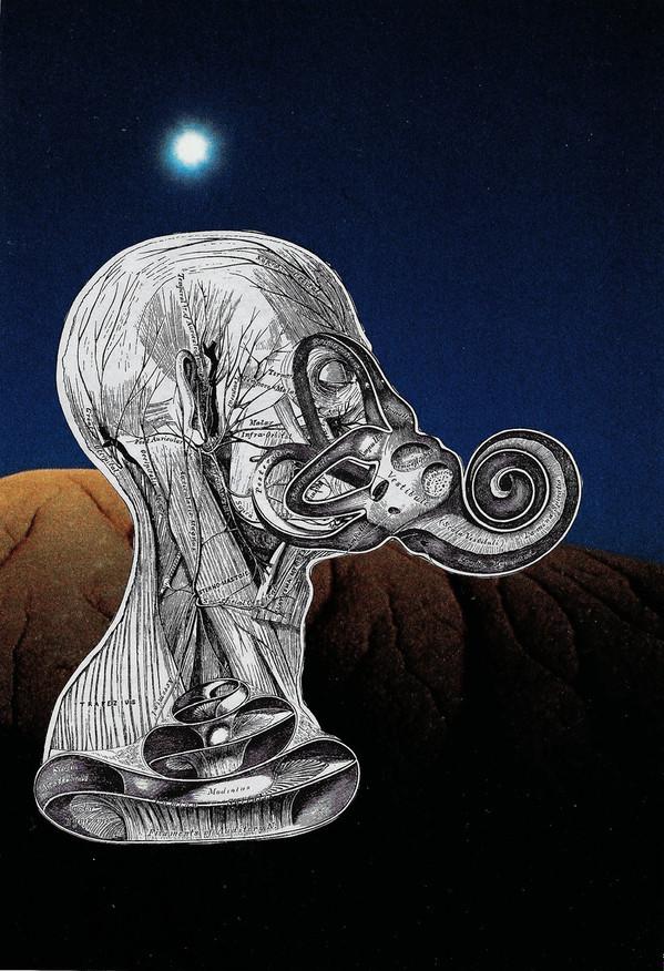 Caulbearer - Occultation