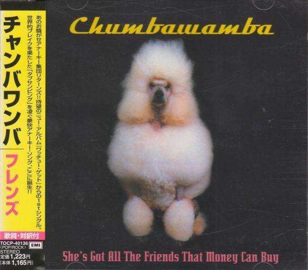 Chumbawamba - She's Got All The Friends That Money Can Buy