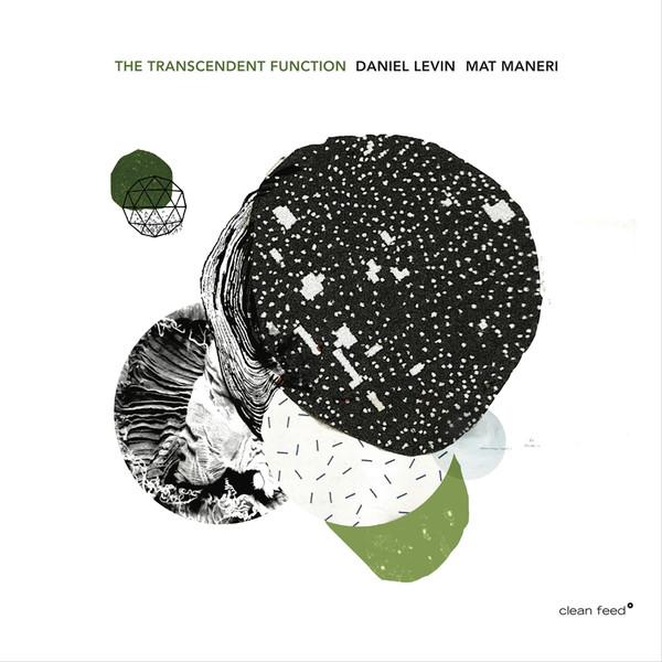 Daniel Levin (2), Mat Maneri - The Transcendent Function