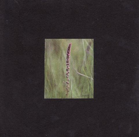 Darren Tate (2) - Time Lag