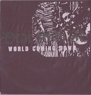 Deal With It - World Coming Down