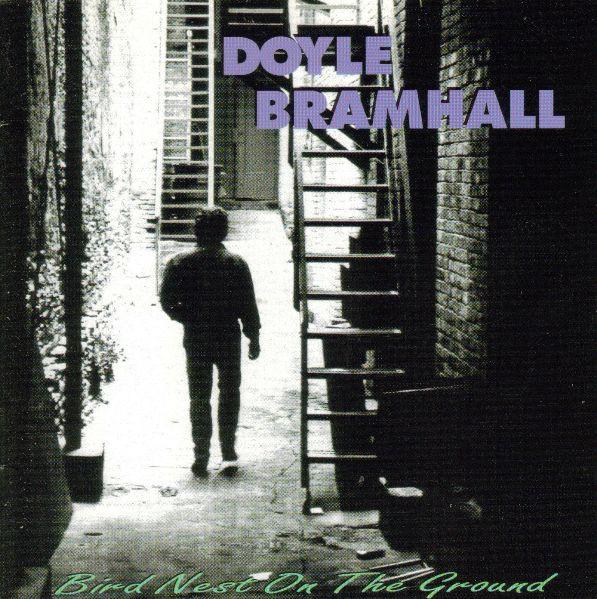 Doyle Bramhall - Bird Nest On The Ground