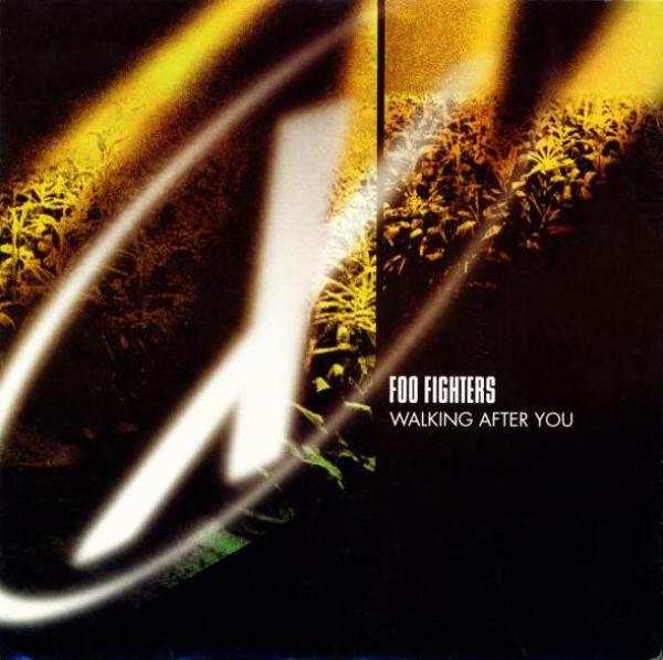 Foo Fighters - Walking After You