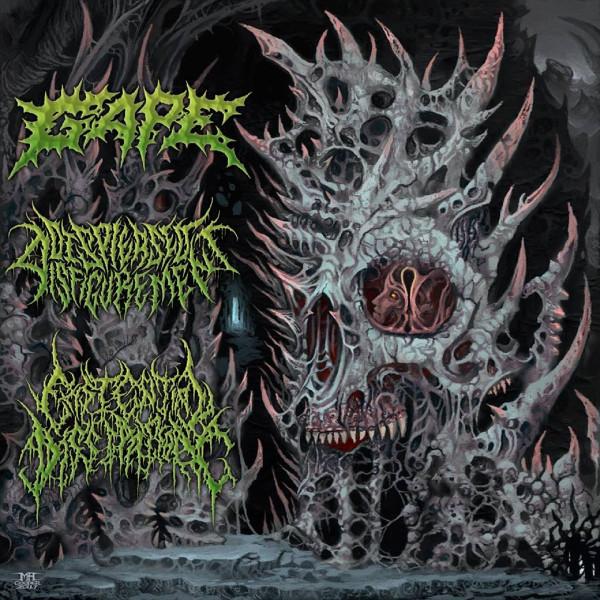Gape, Displeased Disfigurement, Existential Dissipation - International Solidification 3 Way Split
