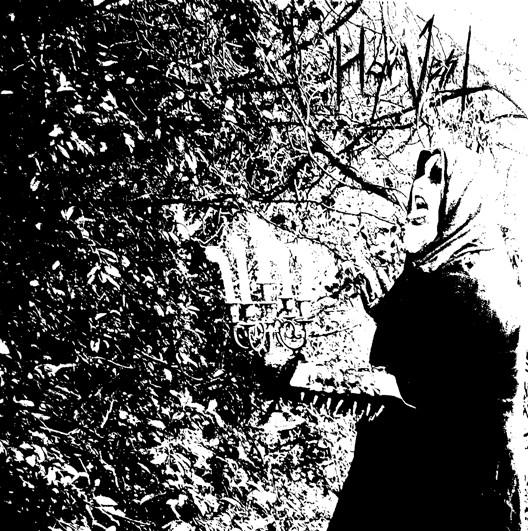 Harvest (5) - Forgotten Vampyres Of The Melancholic Night