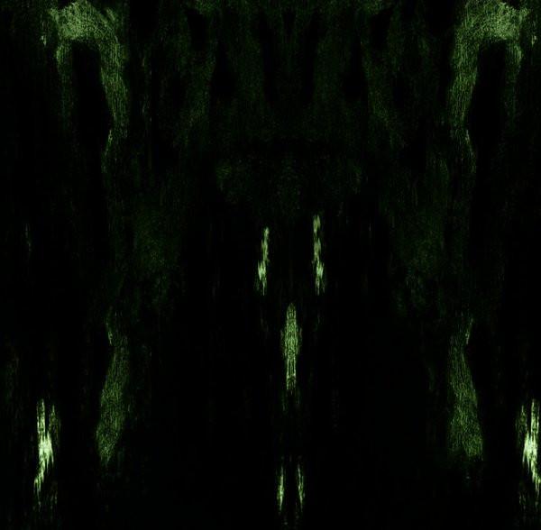 Impetuous Ritual - Unholy Congregation Of Hypocritical Ambivalence