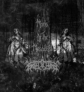 Marks Of The Masochist, Enecare - Marks Of The Masochist / Enecare