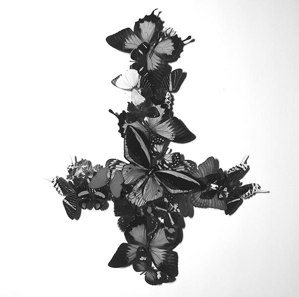 Monarch (2) - Never Forever