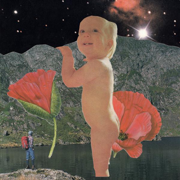 Mums (5) - Land Of Giants