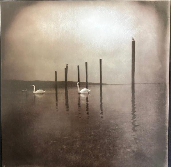 OM (8) - Conference Of The Birds