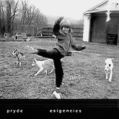 PRYDE (2) - Exigencies