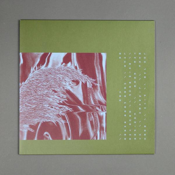 Pariah (9) - Here From Where We Are