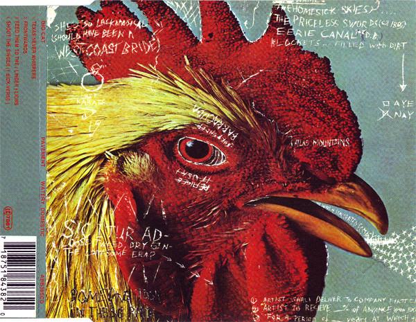 Pavement - Watery, Domestic