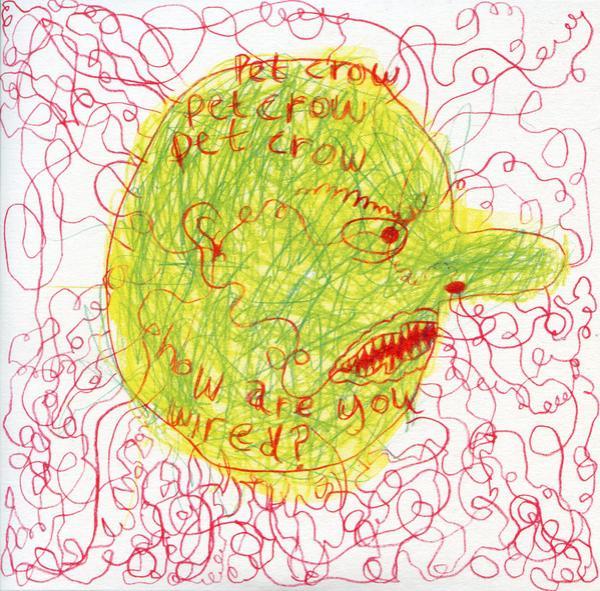 Pet Crow - How Are You Wired?