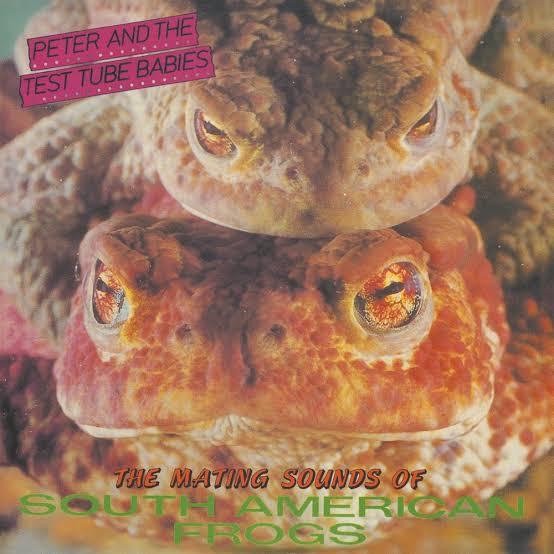 Peter And The Test Tube Babies - The Mating Sounds Of South American Frogs