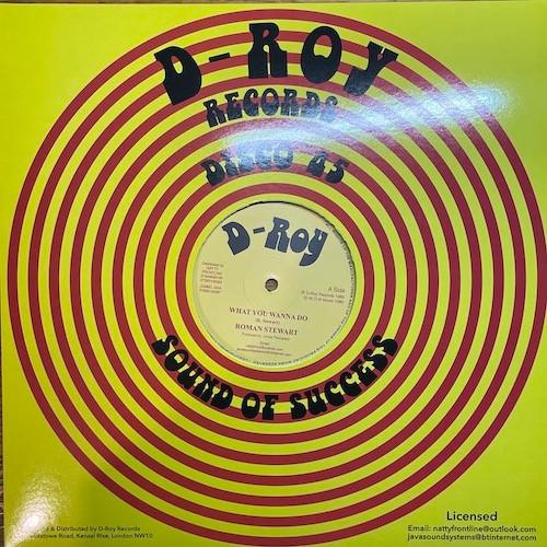 Roman Stewart, The Revolutionaries - What You Wanna Do / Rockers Delight