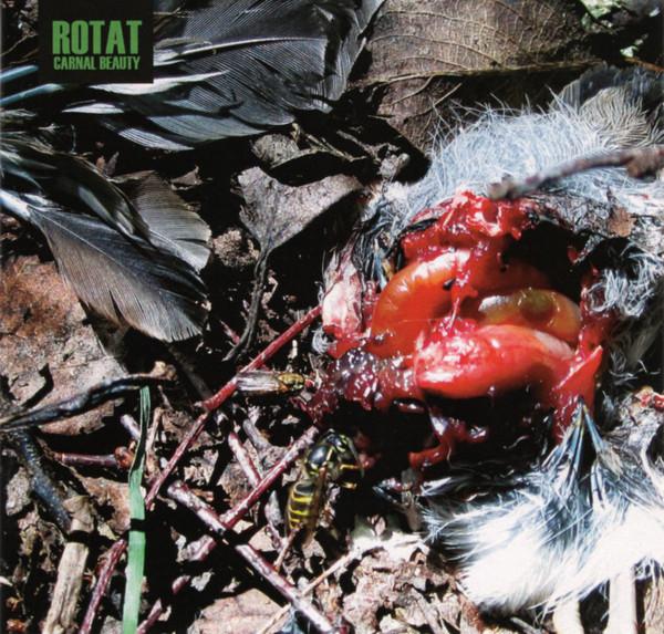 Rotat - Carnal Beauty