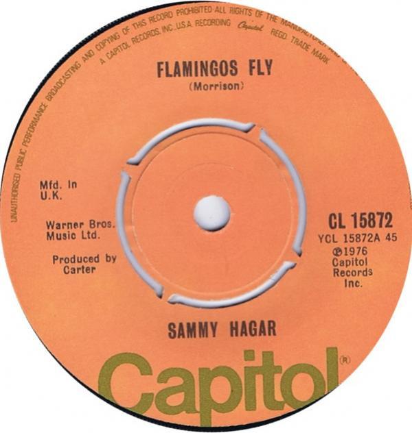 Sammy Hagar - Flamingos Fly