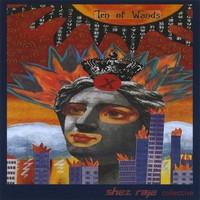 Shez Raja Collective - Ten Of Wands
