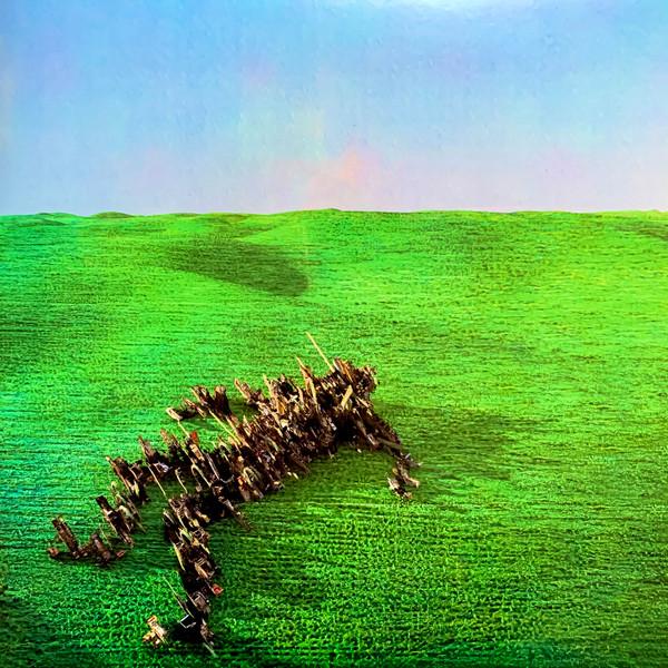 Squid (29) - Bright Green Field