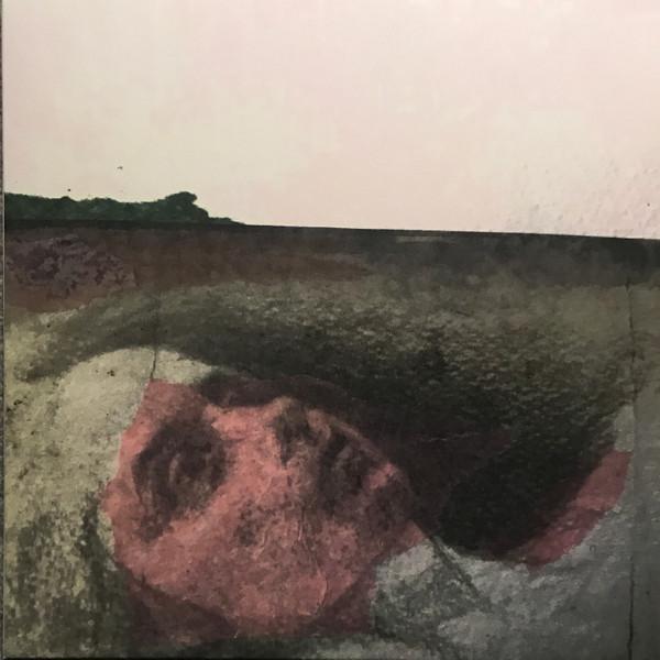 TOY (18) - Songs Of Consumption