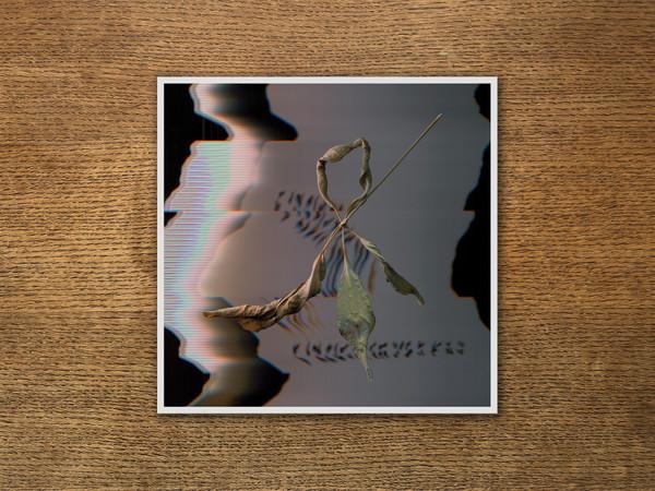 T. Gowdy - Trill Scan