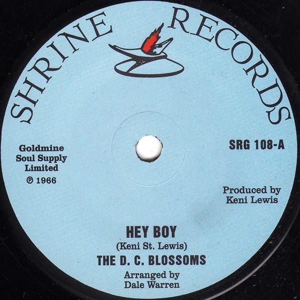 The DC Blossoms - Hey Boy