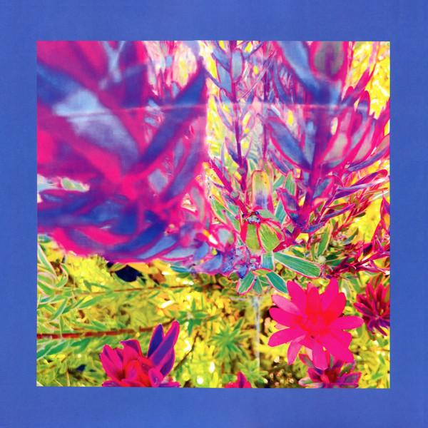 The Reds, Pinks And Purples - The Past Is A Garden I Never Fed