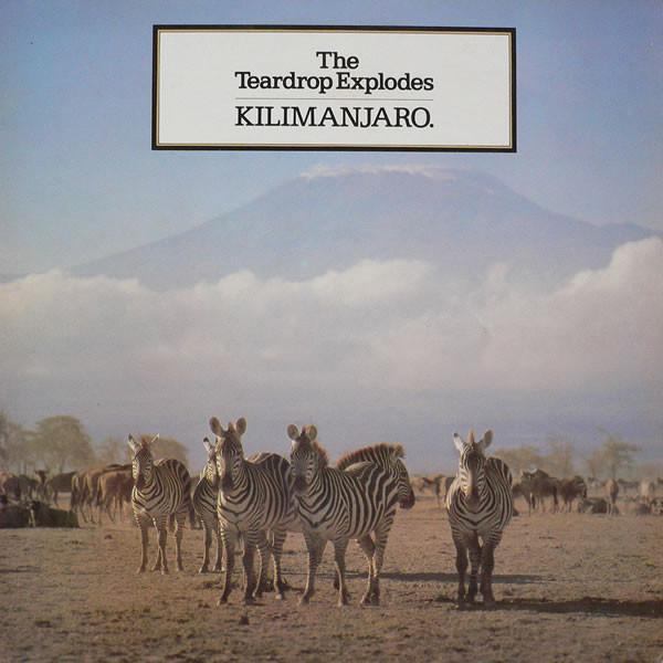 The Teardrop Explodes - Kilimanjaro