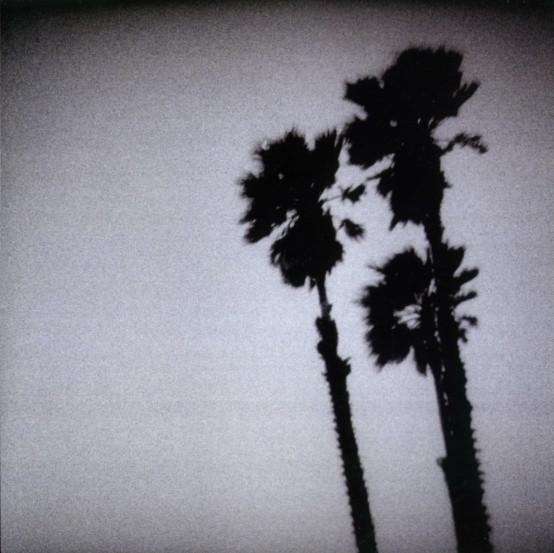 The Twilight Singers - Blackberry Belle